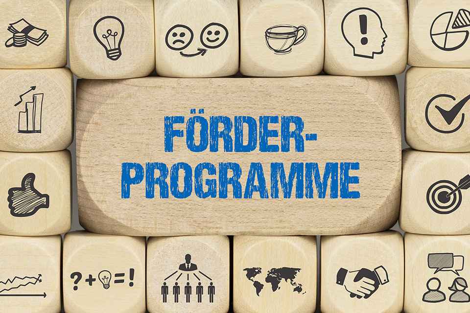 Schriftzug Förderprogramm